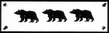 Bears with prints