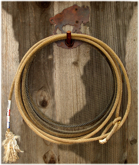 Argentine BRAIDED RAWHIDE 46' LARIAT Lasso Rodeo Ranch Gaucho Leather  Western !!